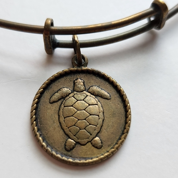 Bronze Turtle Charm Bracelet - Picture 3 of 3